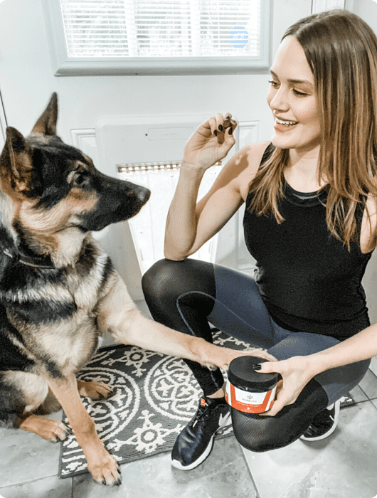 Pet influencers on social media