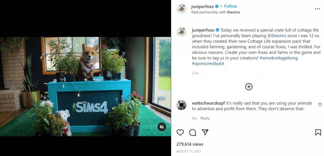 Great Ambassadors for Brands Unrelated to Pets