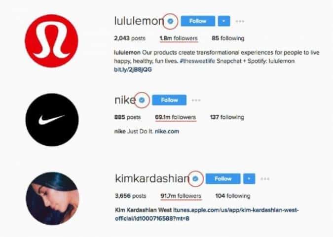 Verified Instagram Accounts for Credibility
